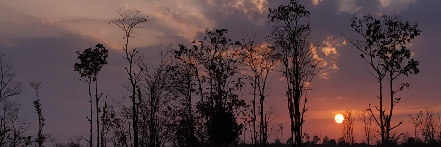 yashashree91's profile banner image