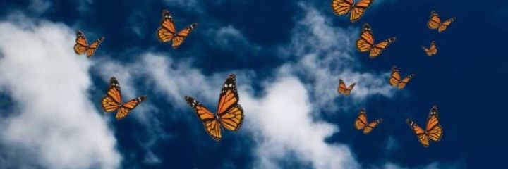 AbrilM26's profile banner image