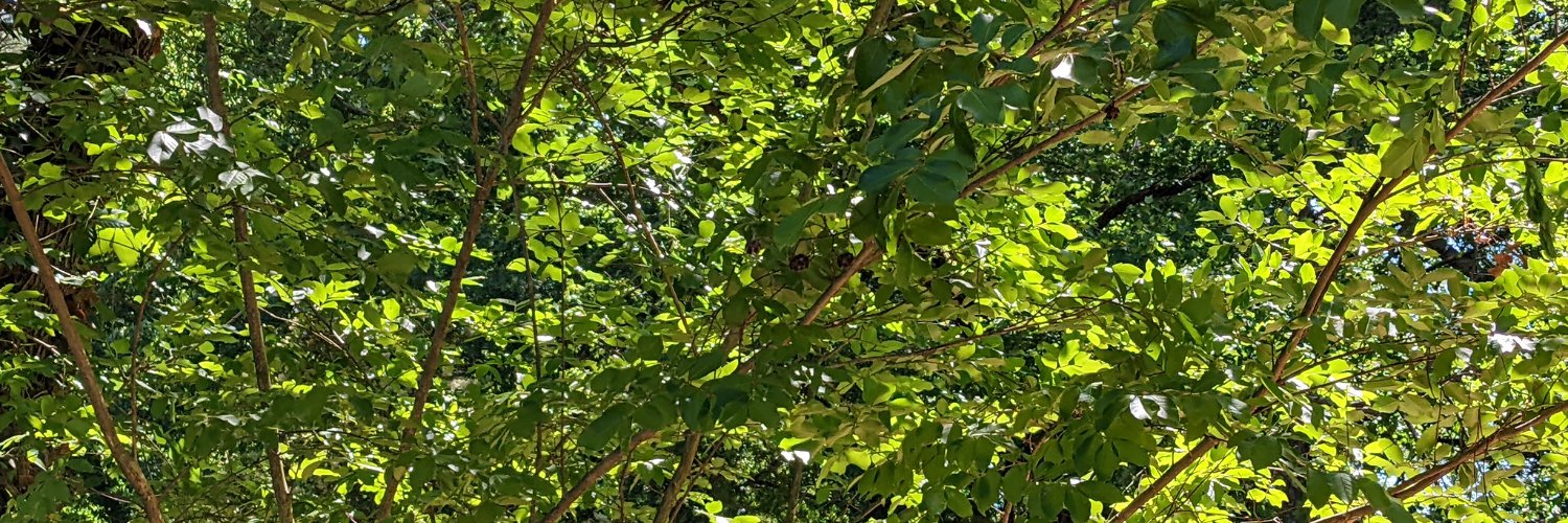 JasonFBennett's profile banner image