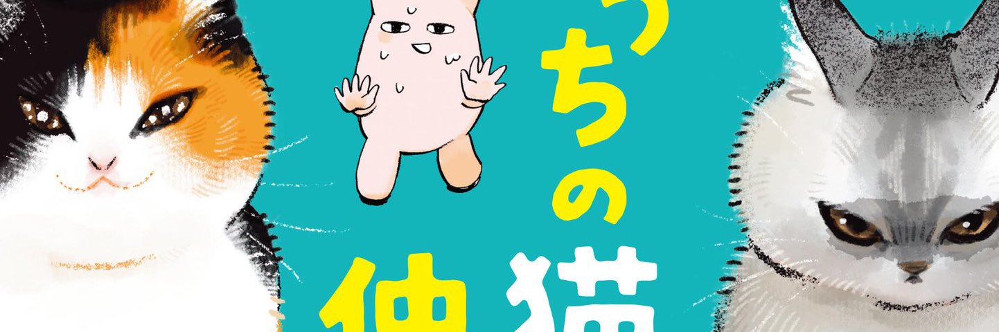 谷口 菜津子　Natsuko Taniguchi's banner