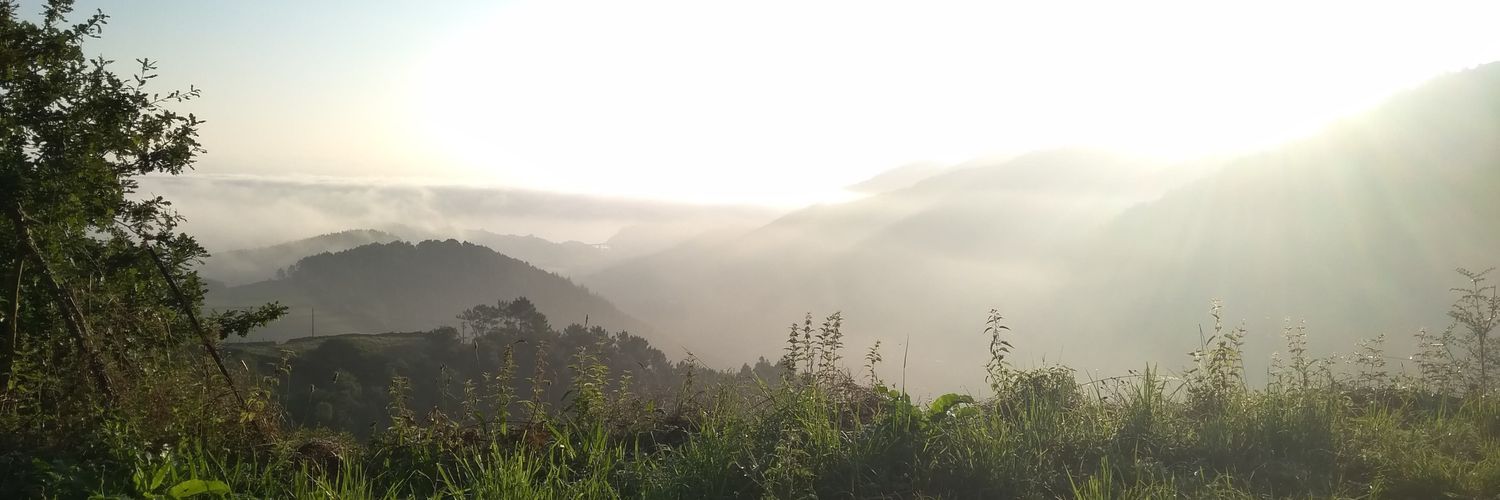 MartaTpia's profile banner image