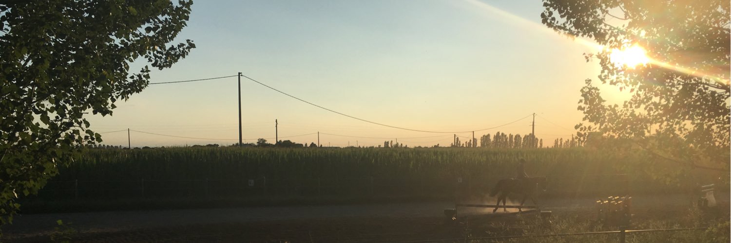 davigno's profile banner image