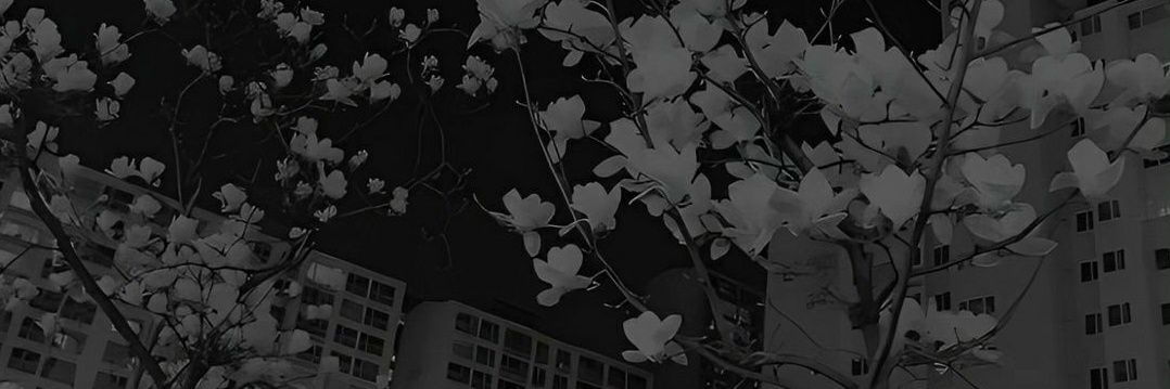 Teinsai's profile banner image