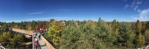 helpingfriendly Profile Banner