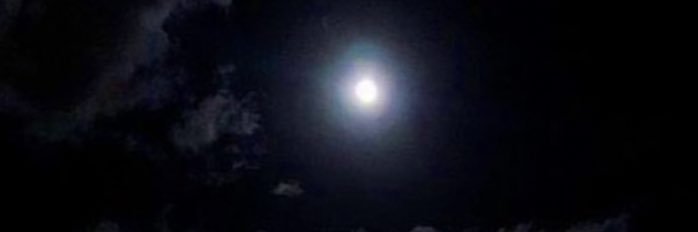 r0oz11's profile banner image