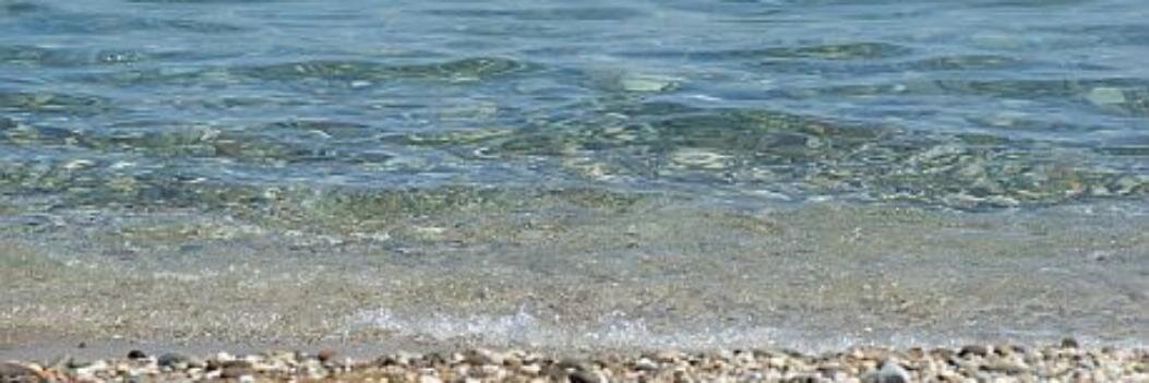 @guckma60.bsky.social guckma60 © TM banner