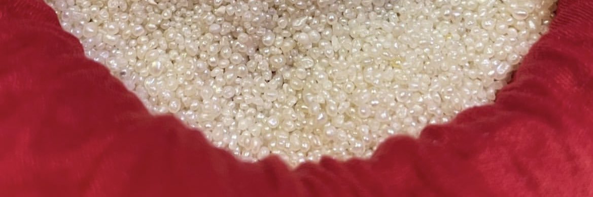 seenalmheiri's profile banner image