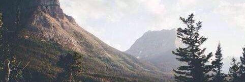 feefee291's profile banner image
