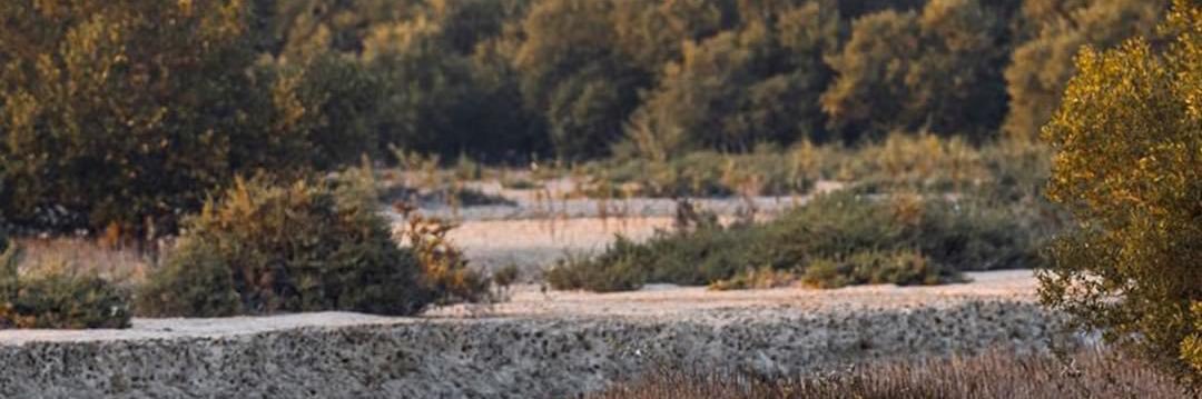 almber11's profile banner image