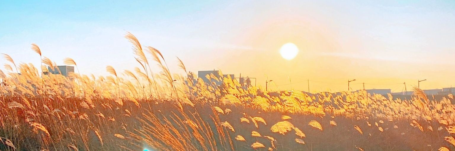 vanillasundaeyy's profile banner image