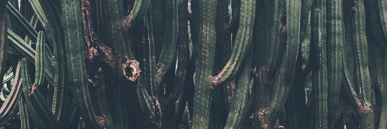 tiovedra's profile banner image