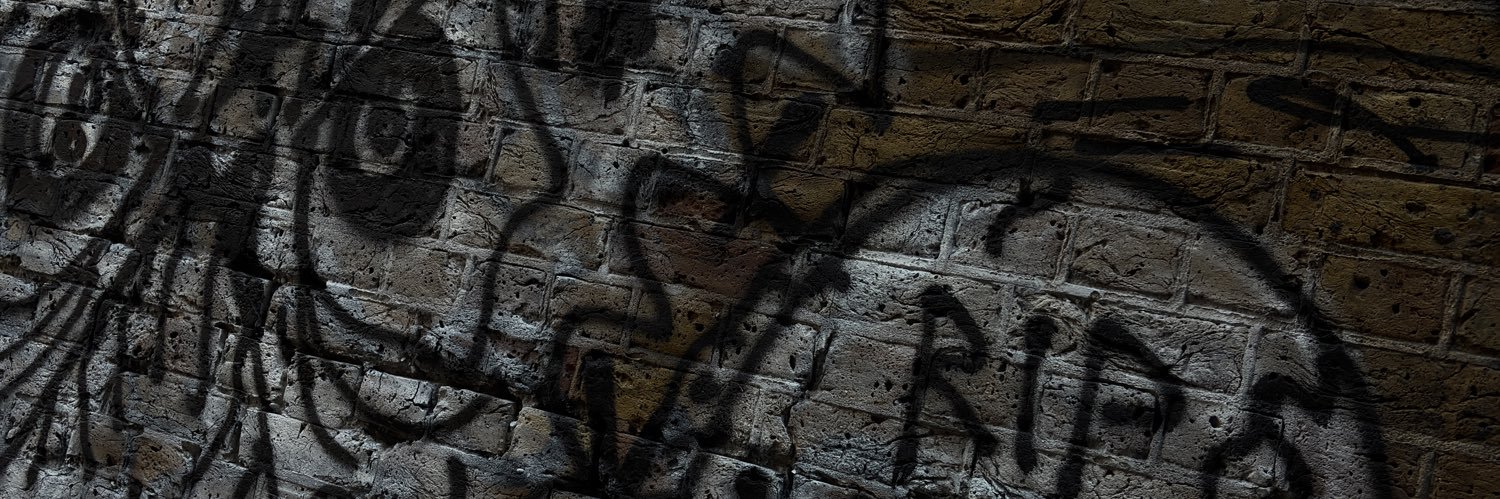 diguphisbones's profile banner image