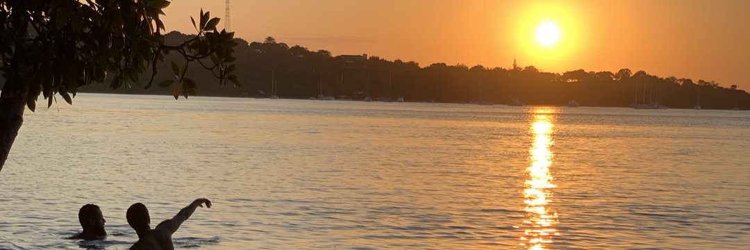 Siigaale, MA. banner
