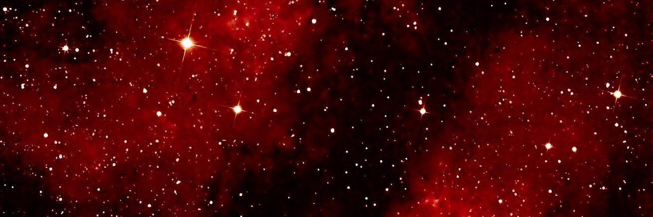 shybibi's profile banner image