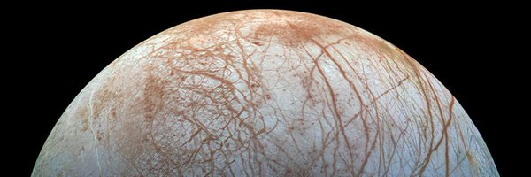 xk4nk4google Profile Banner