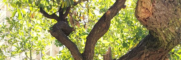 doshiamitk Profile Banner