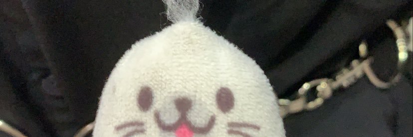みかんちゃんです banner