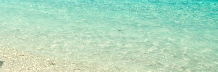 TravelbarAgency's profile banner image