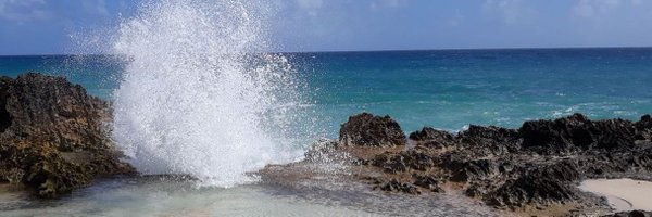 SiikaDoolce Profile Banner