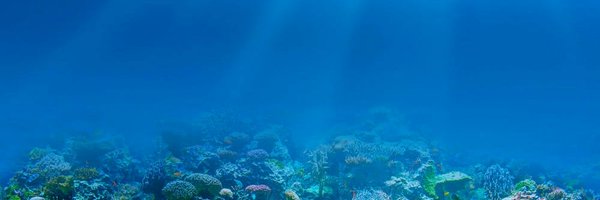 JCO_lab Profile Banner