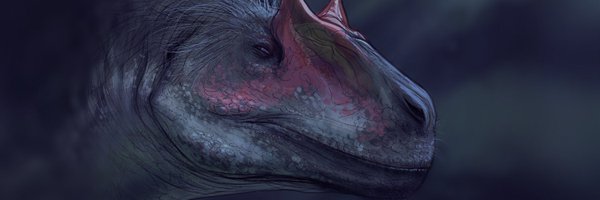 VanZe85 Profile Banner