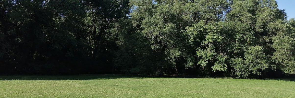 robertosarti55's profile banner image