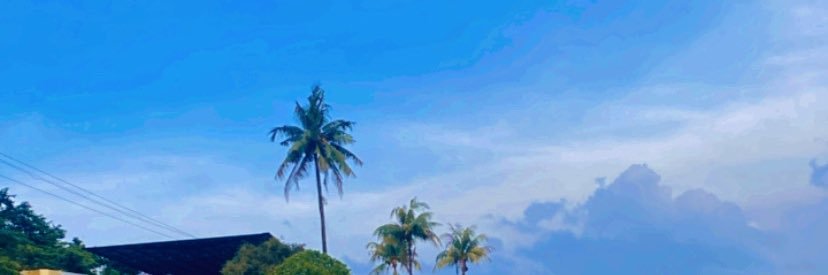 itsmeoline's profile banner image