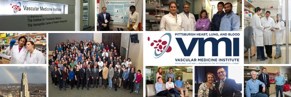 PittVMI Profile Banner