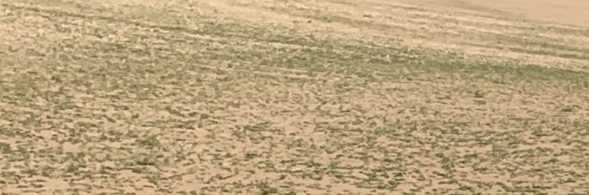 فهد النافعي الحربي banner