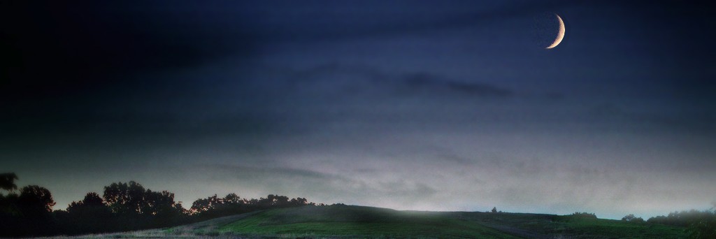 phony_d's profile banner image