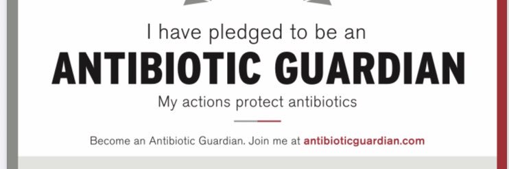 Sarah Chadwick 💙 banner