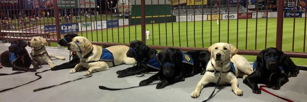 NEADSdogs Profile Banner