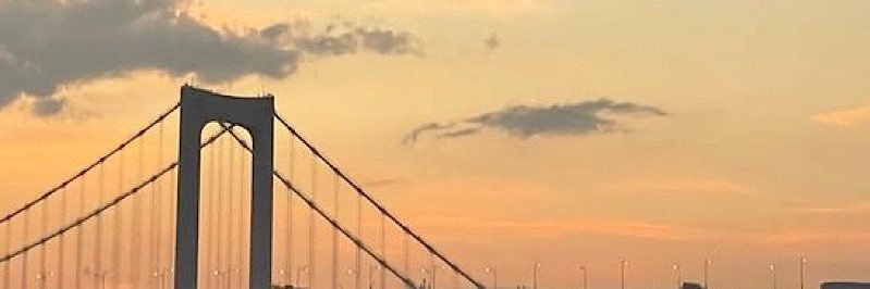 。 banner