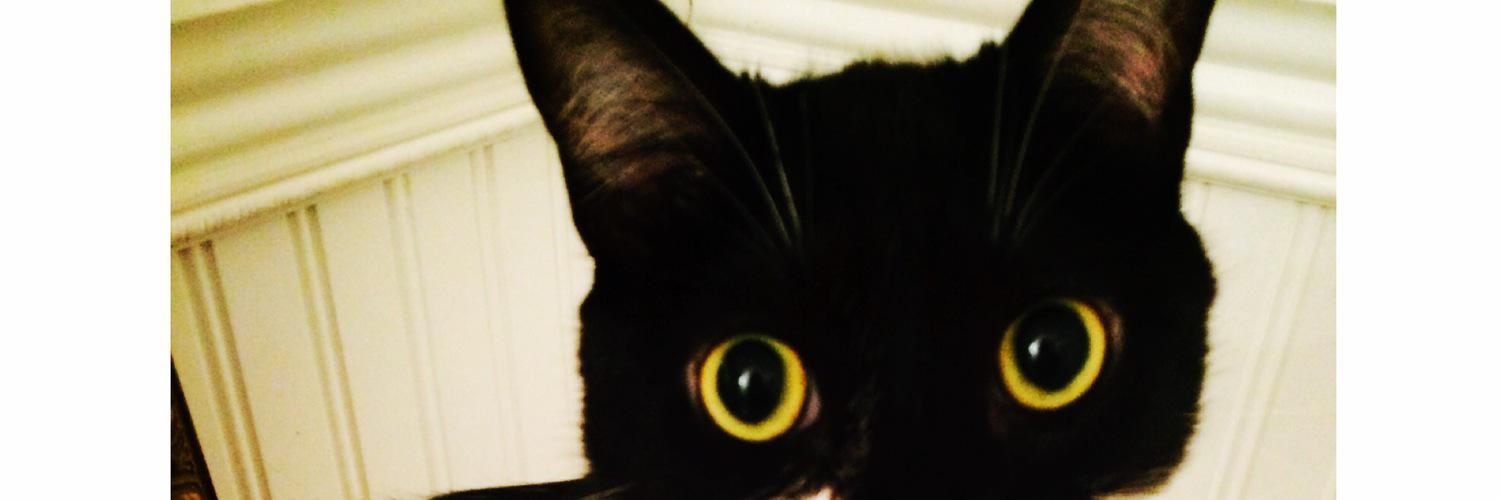 KaleeJordan's profile banner image