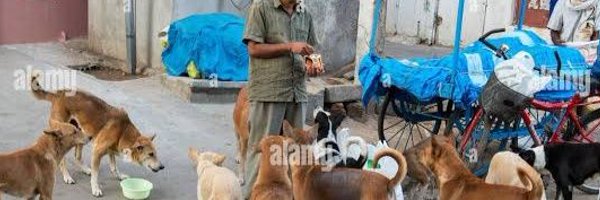 drsureshshah Profile Banner