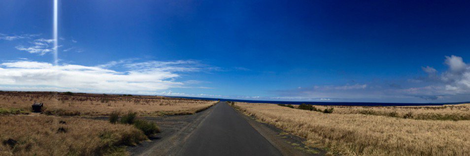 Manfred Linzner-Scherf banner