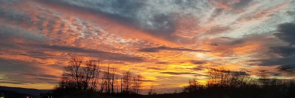 DryjectHQ Profile Banner