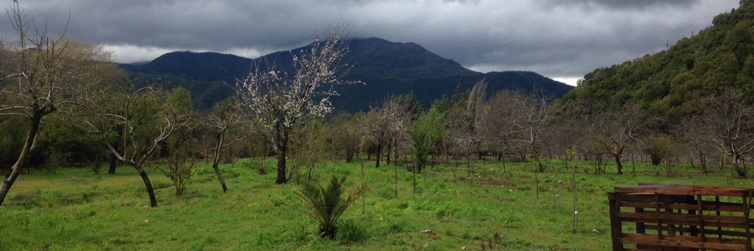 Patricio Gilbert banner