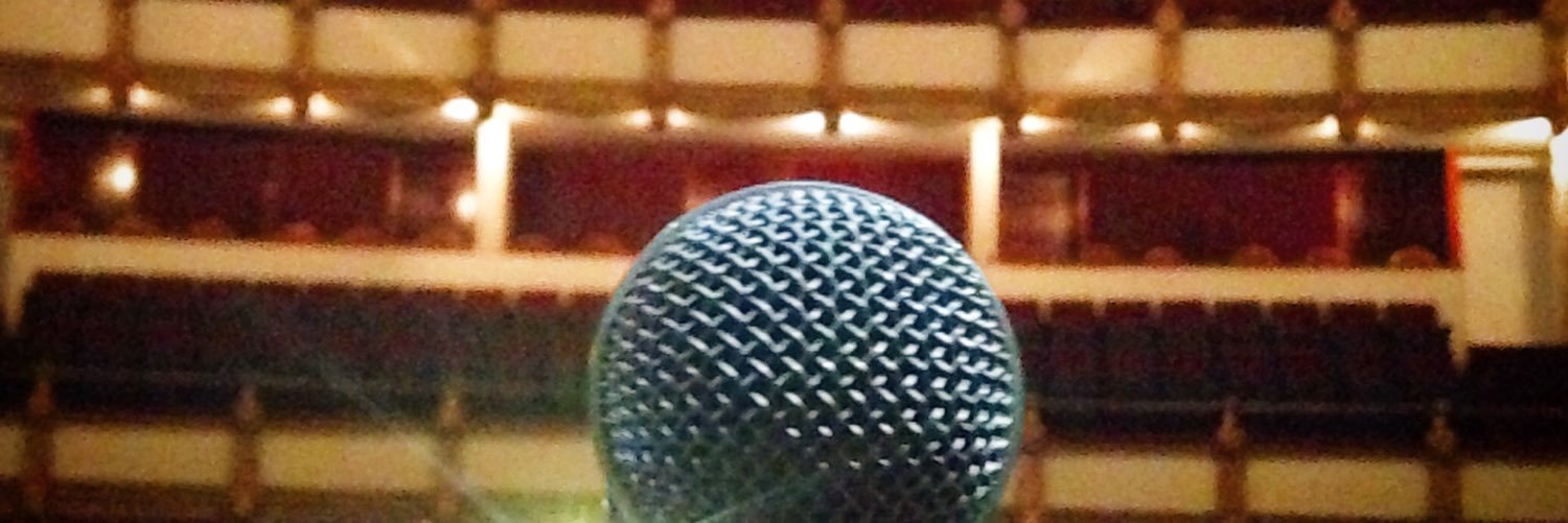 Mariana Anzorena banner