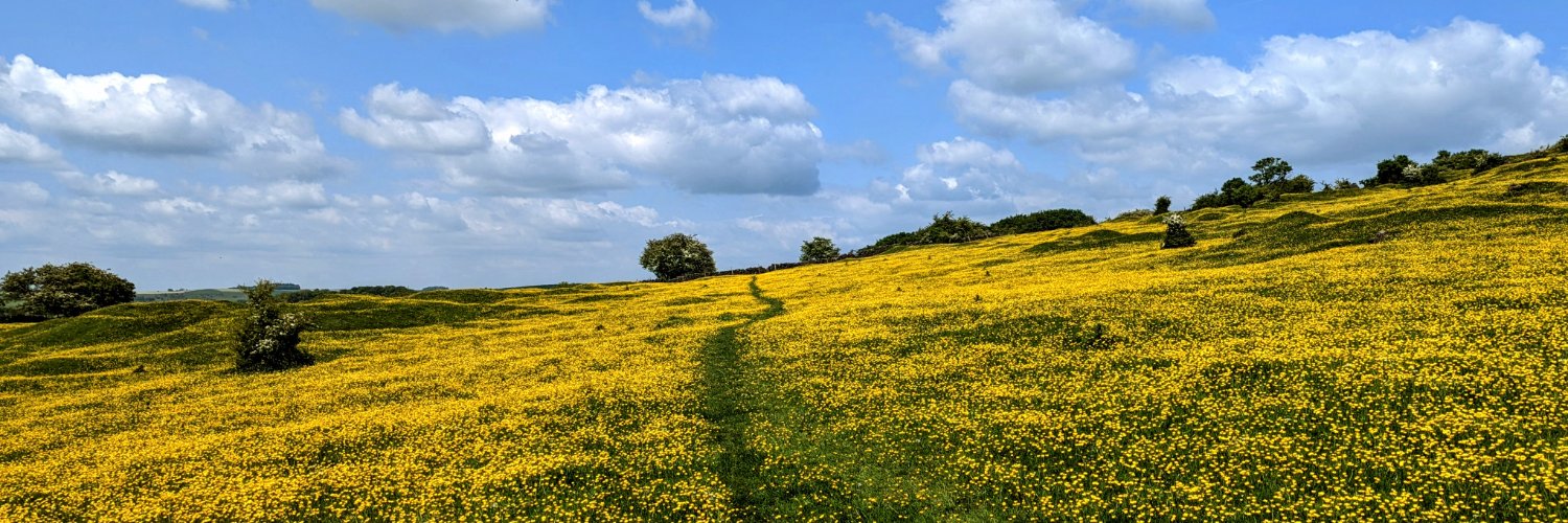 Matt Nicholas banner