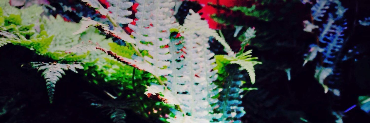 Gungazz's profile banner image