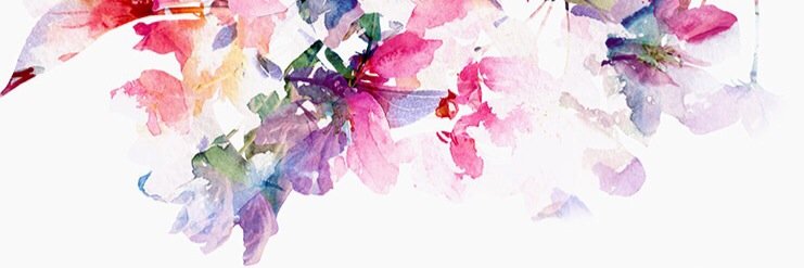 saki_rd's profile banner image
