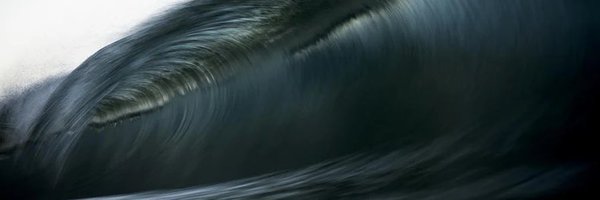 shanetelfer9 Profile Banner