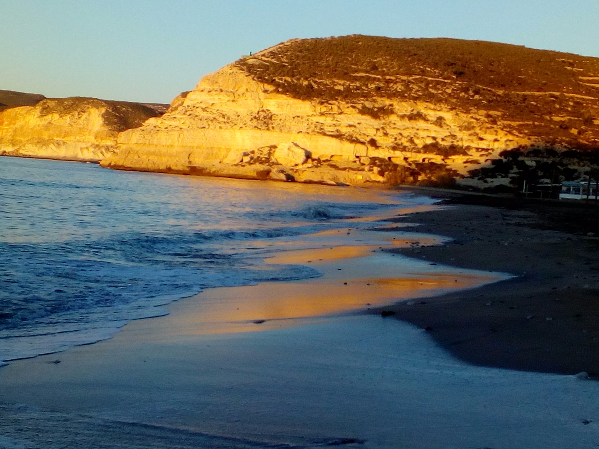 Bruno Estrada banner