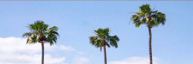 sgiiAl's profile banner image