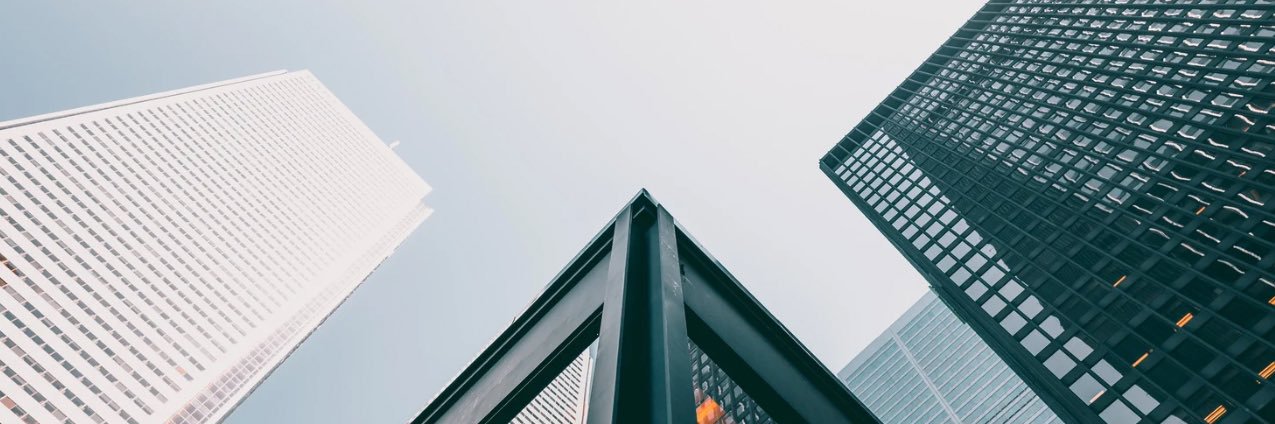 CryptoShadier banner