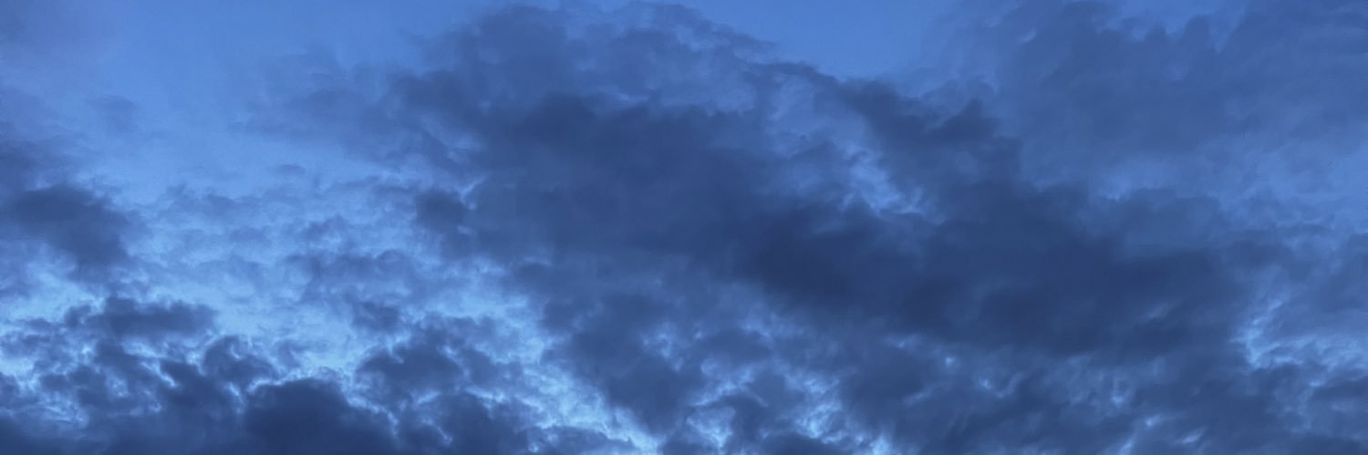 rainowlet's profile banner image