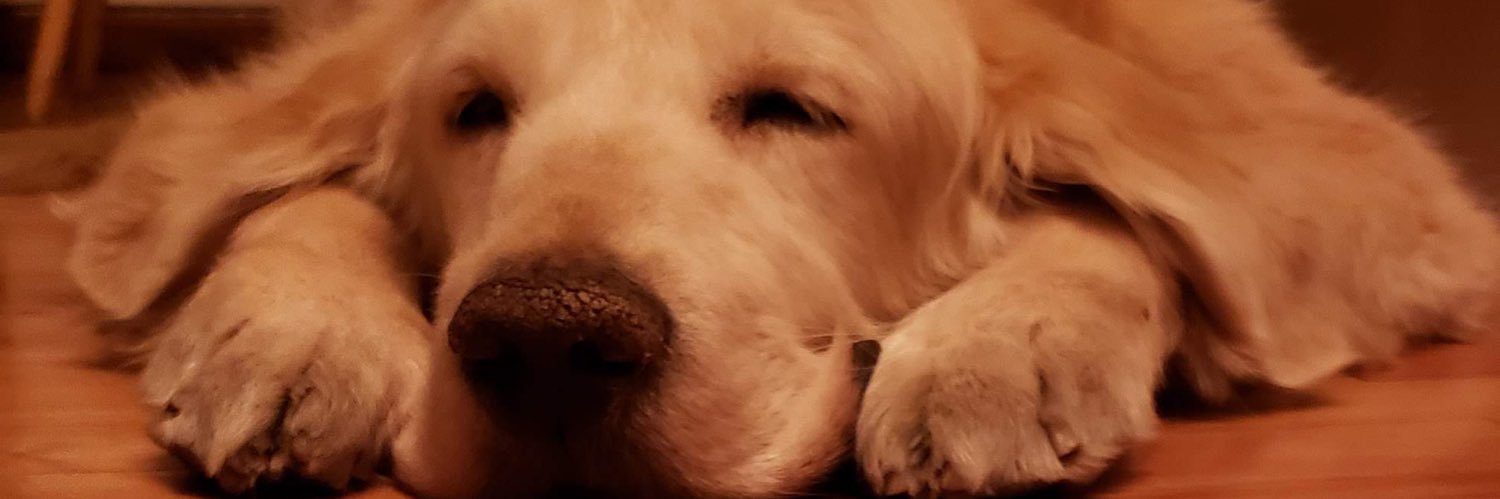 agushct's profile banner image