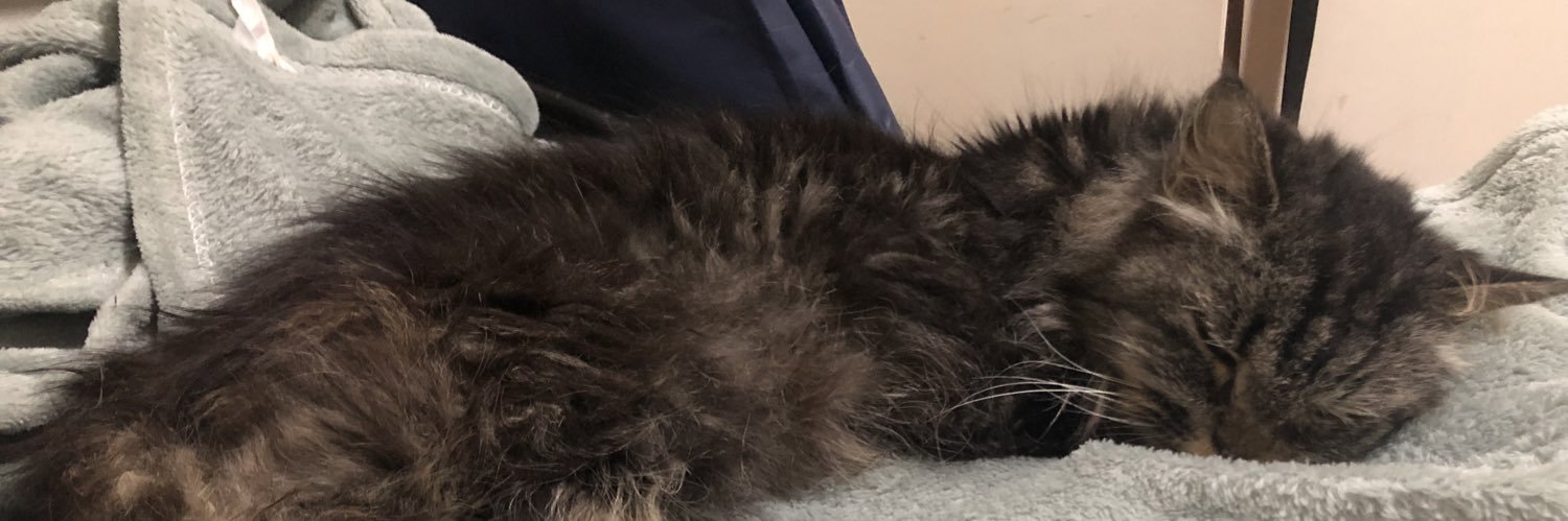 MeowPau25's profile banner image
