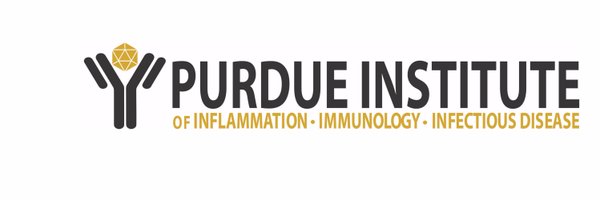 DirectorPI4D Profile Banner